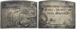 Výstava okresu 1911. Nápis