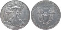 1 Dolar 2011 (Ag unce)